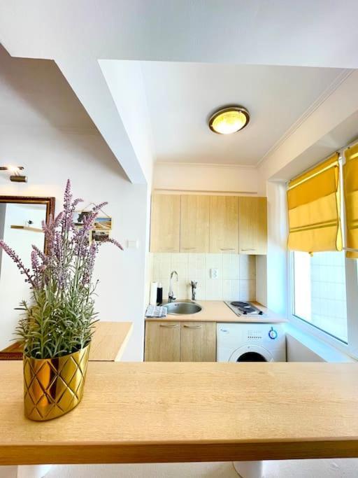 Boutique Apartment In The Bucharest City Center Kültér fotó